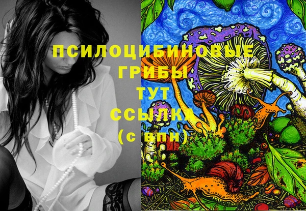 тгк Всеволожск